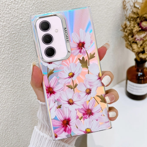 0.01978500 173453733615895867